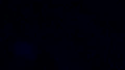 jiminowell online show from 11/18/25, 01:04