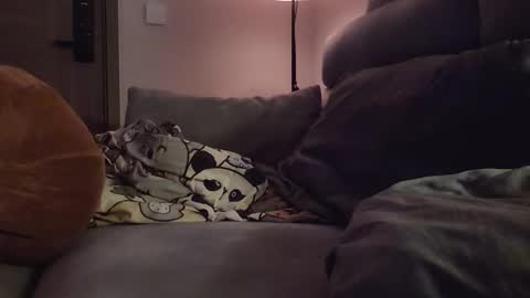 jj_jayjayq online show from 02/08/26, 12:19