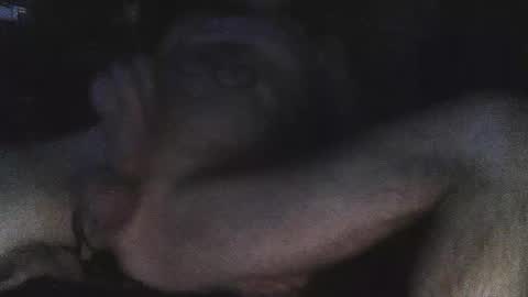 Snapshot of jjohnathan529 chatting on 02/24/25, 07:11 jjohnathan529 online show from 02/24/25, 07:11