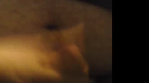 firejoepro2 online show from 02/21/26, 06:25