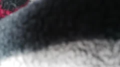 Jimmy online show from 02/23/25, 05:56