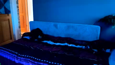 - Quantum - online show from 11/20/25, 07:41