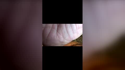 john091254 online show from 04/26/26, 02:53