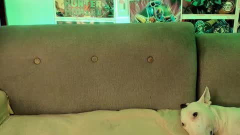 John carrie    Independent  Help me reach my goal 100 likes and 10000 followers  online show from 09/28/25, 04:18