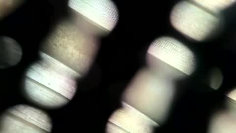 johnlong25cm online show from 06/07/26, 02:54