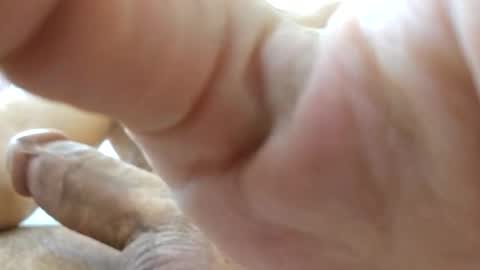 johnnnn2331 online show from 11/18/25, 02:17