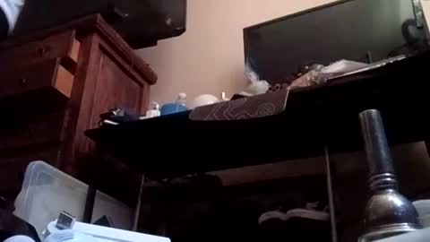 johnnyleos online show from 06/16/26, 08:00