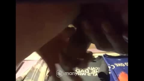 johnnyshung1 online show from 12/13/24, 07:47