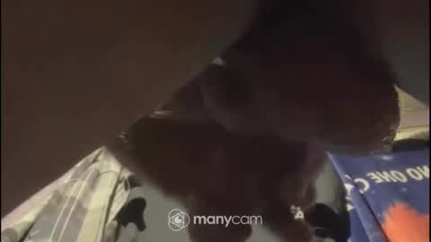 johnnyshung1 online show from 02/02/25, 01:08