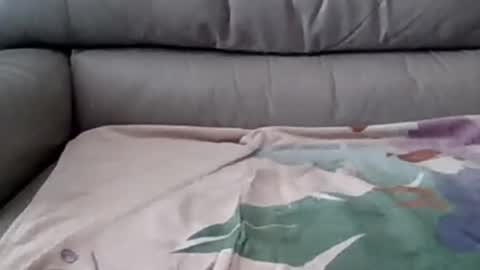 Snapshot of johnpauljones chatting on 03/05/25, 08:10 bigger than some online show from 03/05/25, 08:10