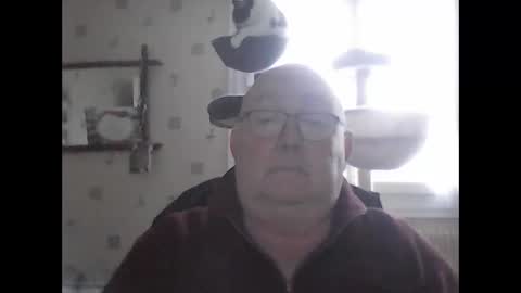 jojo60000529566 online show from 12/07/24, 02:13