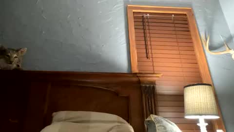 jonbigwhat online show from 12/26/24, 01:40