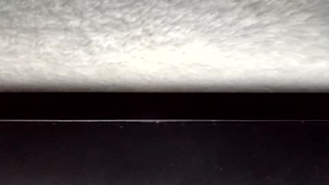 John loves pussy online show from 03/31/26, 03:30