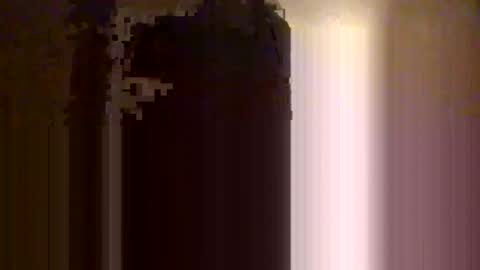 Snapshot of josephsfus chatting on 02/02/25, 02:02 Josephsfus online show from 02/02/25, 02:02