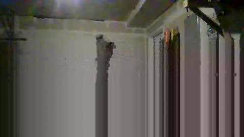 sissy josphine online show from 10/14/25, 06:36