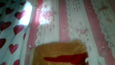 Snapshot of josy918592 chatting on 06/17/26, 03:53 josy918592 online show from 06/17/26, 03:53
