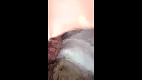 jtnorris0299626957 online show from 04/16/26, 06:14