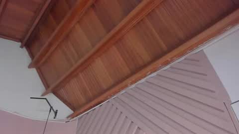 Juana online show from 04/10/26, 11:15