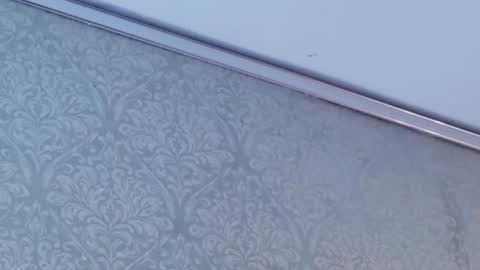 Snapshot of juanita_salv chatting on 02/12/26, 05:52 juanita online show from 02/12/26, 05:52