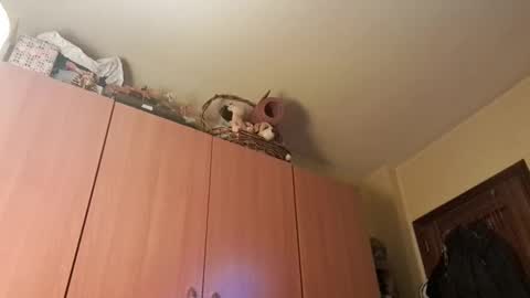 Snapshot of juanka85564456 chatting on 01/20/25, 09:43 juanka85564456 online show from 01/20/25, 09:43