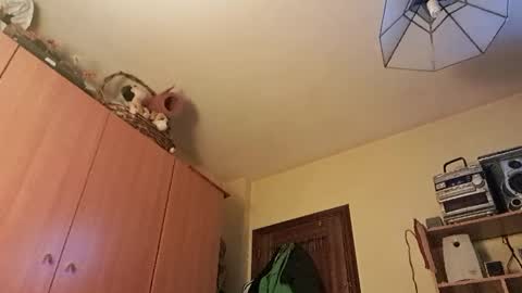 Snapshot of juanka85564456 chatting on 01/29/25, 12:43 juanka85564456 online show from 01/29/25, 12:43