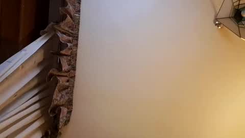 Snapshot of juanka85564456 chatting on 02/28/25, 11:56 juanka85564456 online show from 02/28/25, 11:56