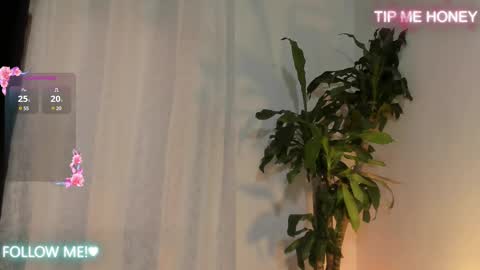 Juan Miguel online show from 02/14/25, 11:53