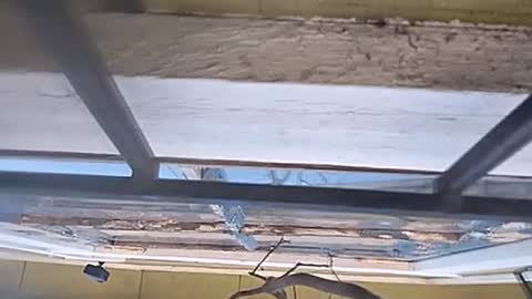 Snapshot of jugg3 chatting on 01/13/25, 07:31 Carlos online show from 01/13/25, 07:31