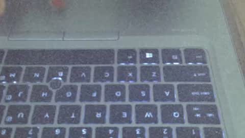 Champaign online show from 03/19/26, 08:35