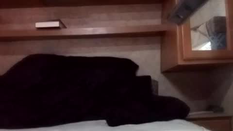 Juish5521 online show from 03/03/25, 12:26