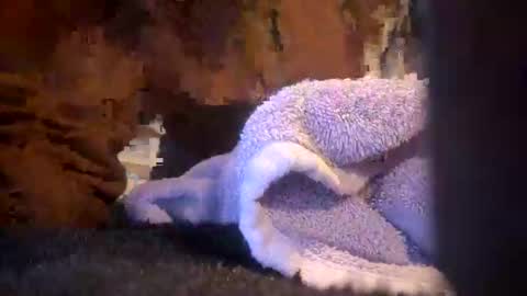 Juish5521 online show from 03/06/25, 10:09