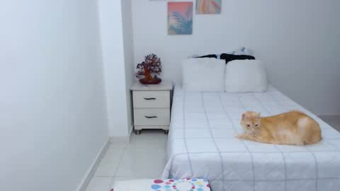 julia online show from 12/30/24, 07:11