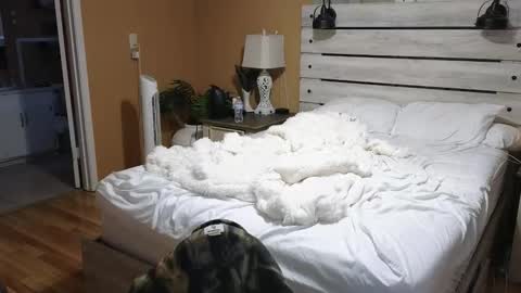 Texas Mamasita online show from 02/06/26, 02:53