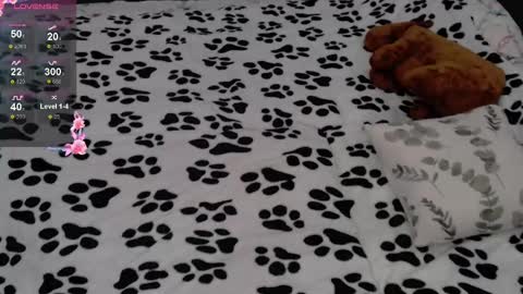 julieqt online show from 02/16/25, 06:21