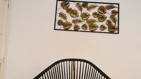 Juli online show from 10/10/25, 08:08