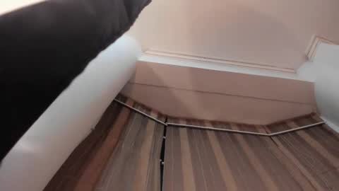 Snapshot of jupiterfoxxxx chatting on 10/15/25, 12:33 Jupiter Fox online show from 10/15/25, 12:33