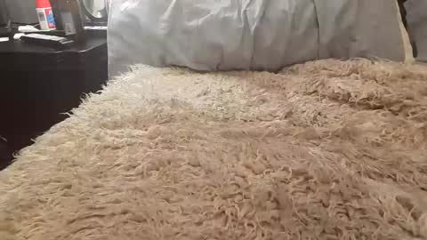 Jusme6269 online show from 01/08/25, 01:00