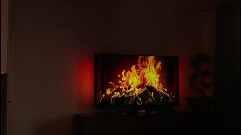 just_dakota_ online show from 02/19/26, 08:54