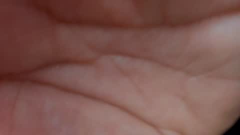 Layla online show from 01/23/25, 10:32