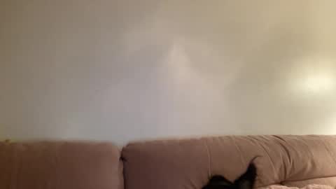 Jess online show from 03/02/26, 04:36