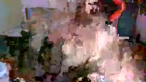 juteja online show from 10/13/25, 09:15