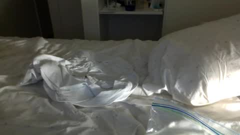 J and Sugar snap pea online show from 01/23/25, 11:37