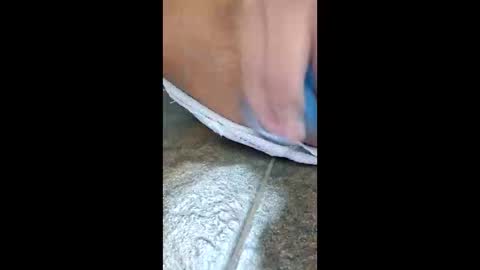 Snapshot of ka216206 chatting on 12/17/25, 01:00 ka216206 online show from 12/17/25, 01:00