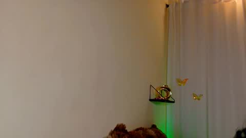 Kaaiiri online show from 03/04/26, 08:42