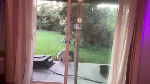 Kailee Smile online show from 01/07/25, 03:46