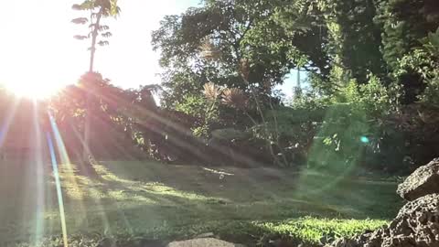 Kailee Smile online show from 09/10/25, 03:28