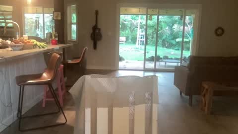 Kailee Smile online show from 10/01/25, 03:56