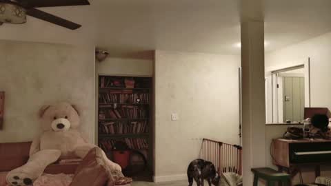 Kailee Smile online show from 11/27/25, 04:58