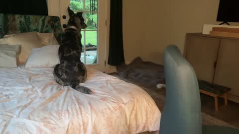 Kailee Smile online show from 02/07/26, 04:16