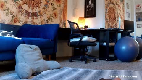 Snapshot of kalikushdreamz chatting on 01/14/25, 10:02 Tara Smith online show from 01/14/25, 10:02